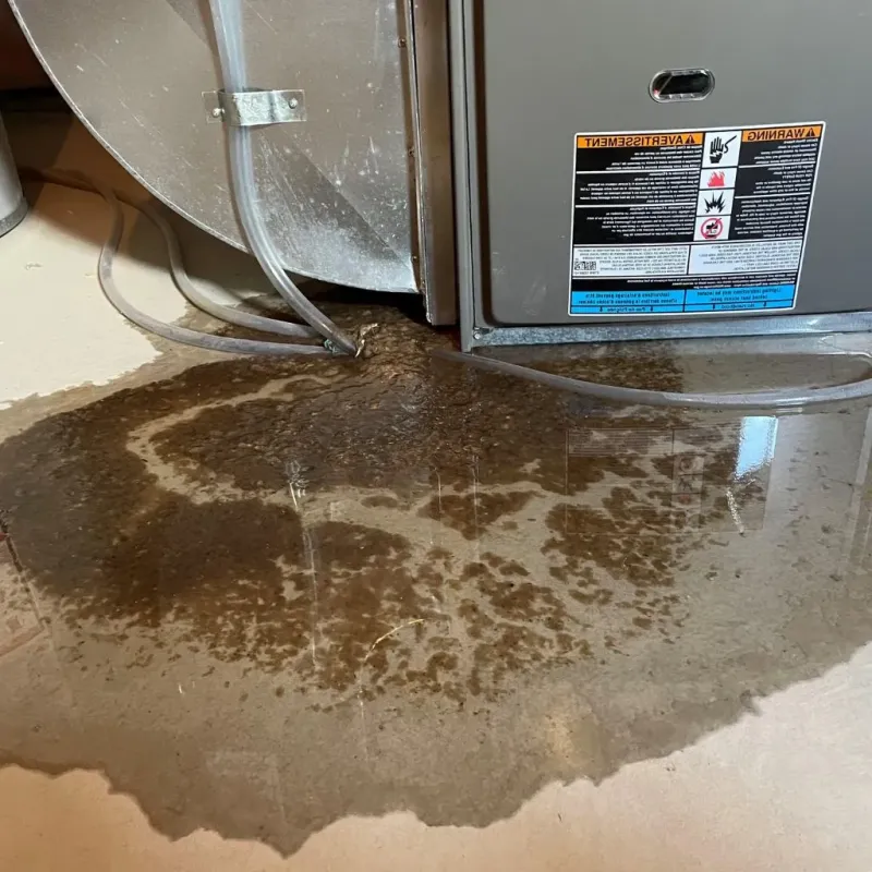 Pipe Burst and Leak Restoration in Delta County, CO